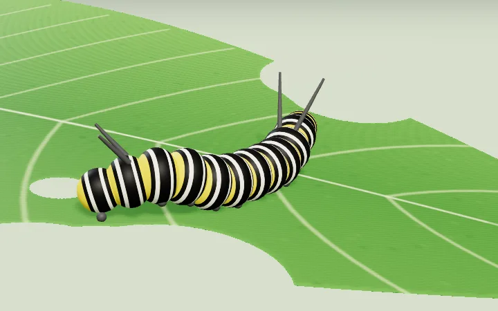 Oruga de mariposa monarca sobre una hoja de algodoncillo, en la animación 3D